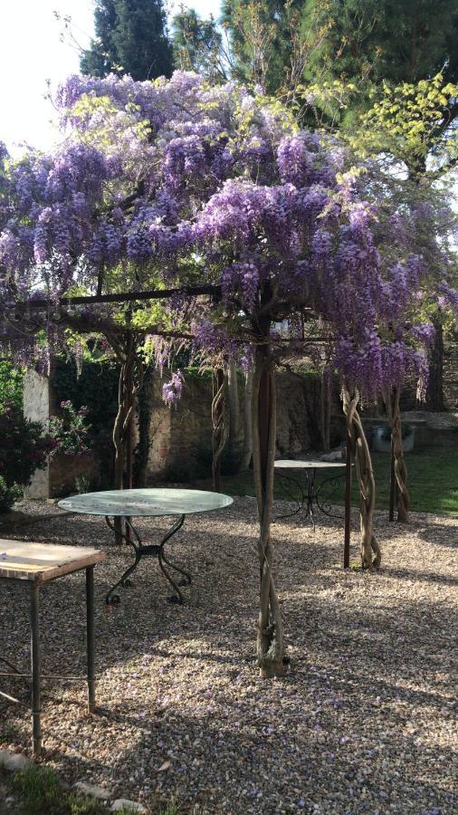 Le Chai De Marguerite Peyriac-Minervois Exterior photo