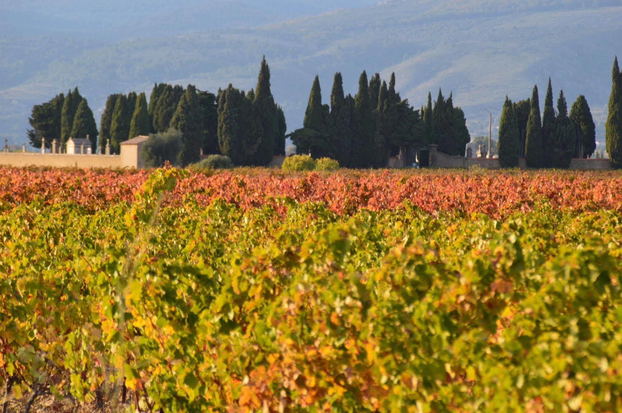 Le Chai De Marguerite Peyriac-Minervois Exterior photo